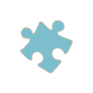 Icone-bleue-marron-WEB piece_puzzle_bleue